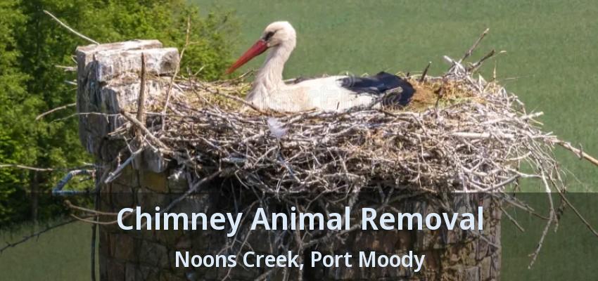 Chimney Animal Removal Noons Creek, Port Moody - BC
