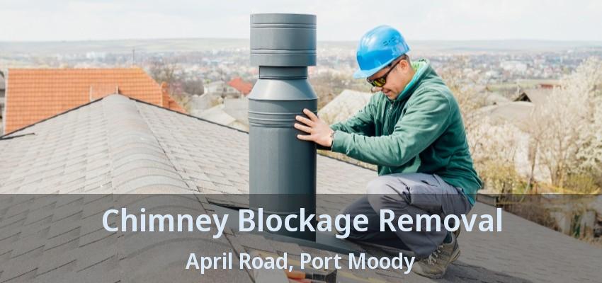 Chimney Blockage Removal April Road, Port Moody - BC