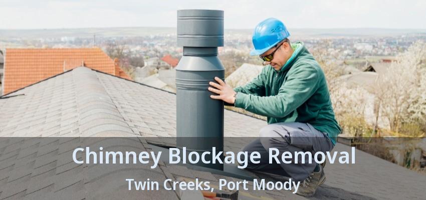 Chimney Blockage Removal Twin Creeks, Port Moody - BC
