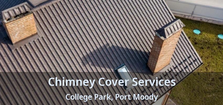 Chimney Cover Services College Park, Port Moody - BC