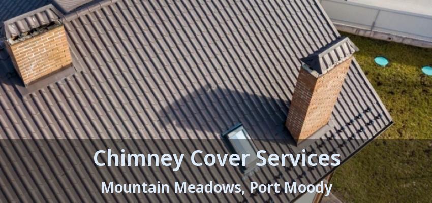 Chimney Cover Services Mountain Meadows, Port Moody - BC