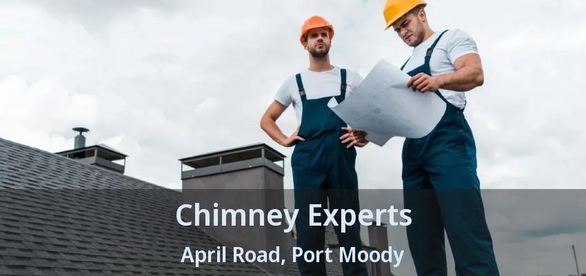 Chimney Experts April Road, Port Moody - BC