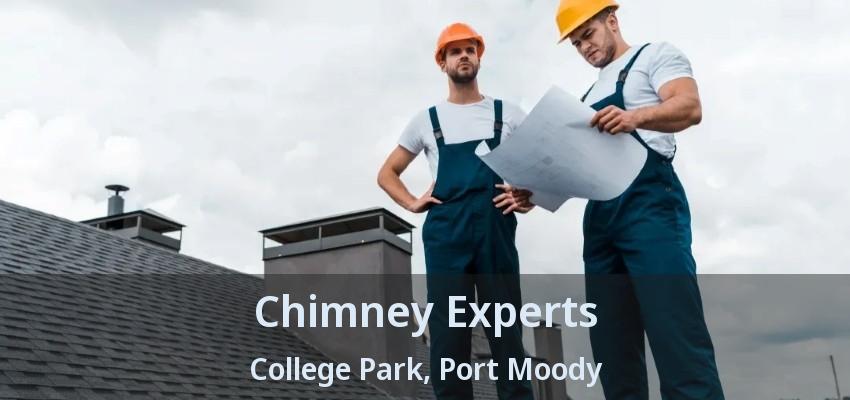 Chimney Experts College Park, Port Moody - BC