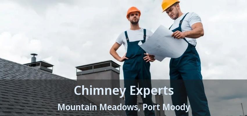 Chimney Experts Mountain Meadows, Port Moody - BC