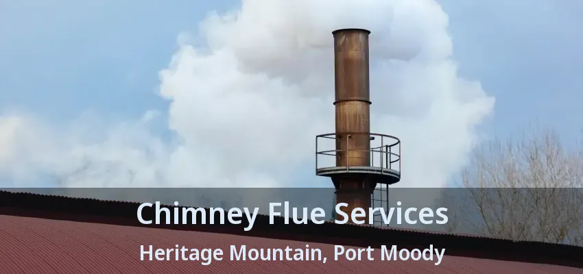 Chimney Flue Services Heritage Mountain, Port Moody - BC