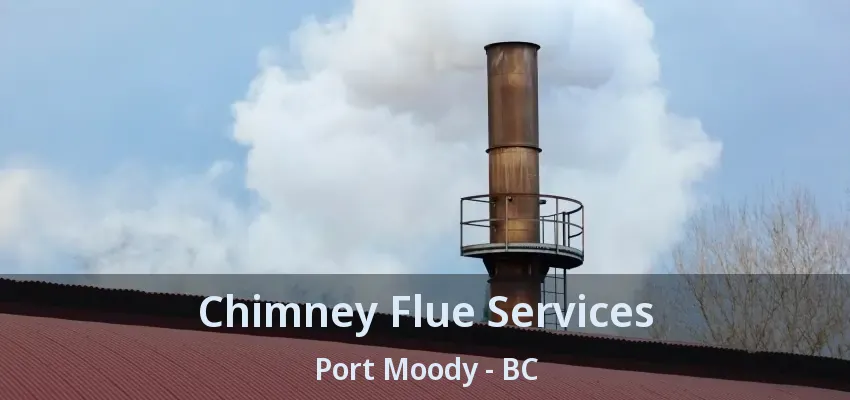 Chimney Flue Services Port Moody - BC