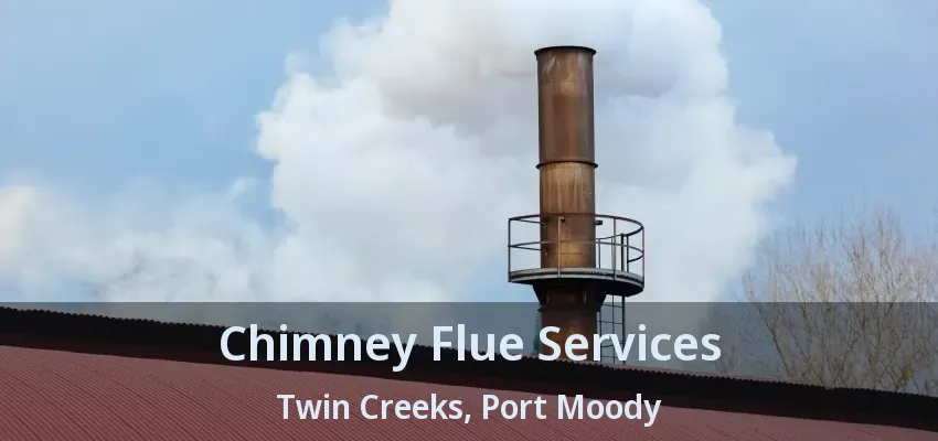 Chimney Flue Services Twin Creeks, Port Moody - BC