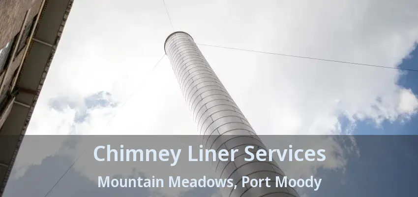 Chimney Liner Services Mountain Meadows, Port Moody - BC