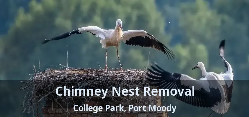 Chimney Nest Removal College Park, Port Moody - BC