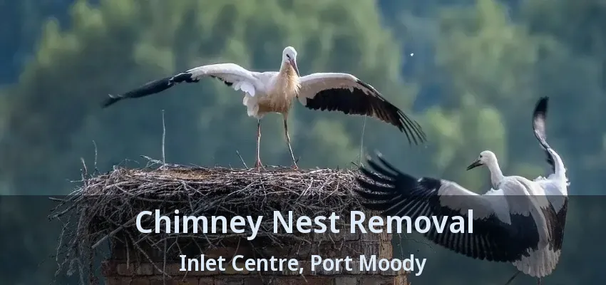 Chimney Nest Removal Inlet Centre, Port Moody - BC