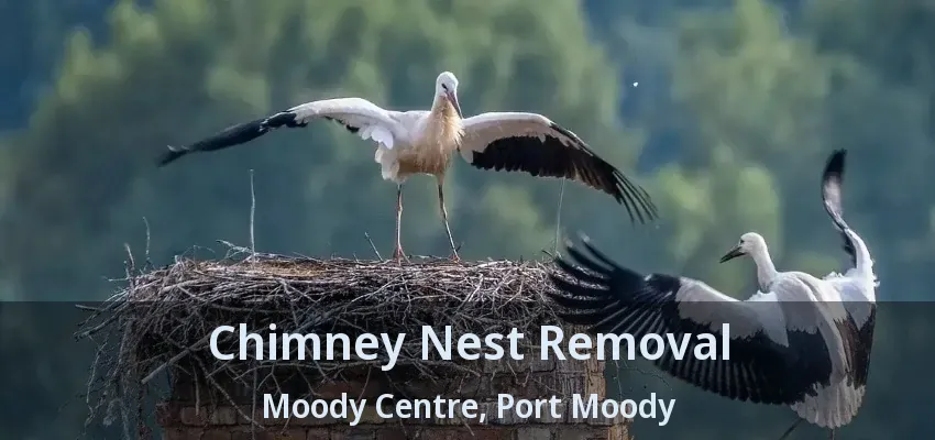 Chimney Nest Removal Moody Centre, Port Moody - BC