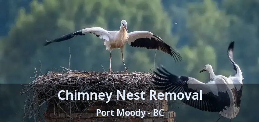 Chimney Nest Removal Port Moody - BC