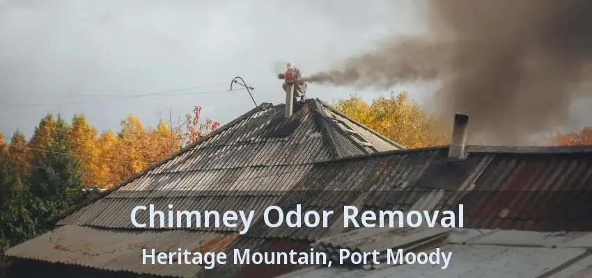 Chimney Odor Removal Heritage Mountain, Port Moody - BC