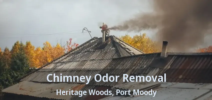 Chimney Odor Removal Heritage Woods, Port Moody - BC