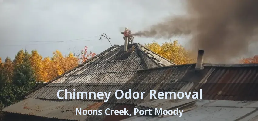Chimney Odor Removal Noons Creek, Port Moody - BC