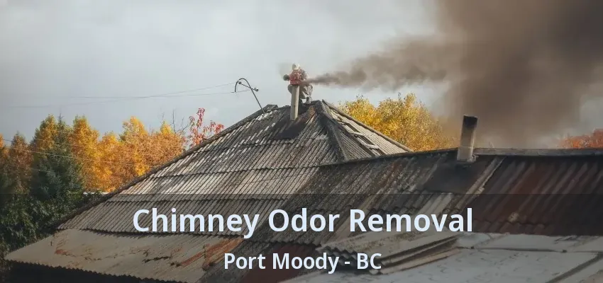 Chimney Odor Removal Port Moody - BC