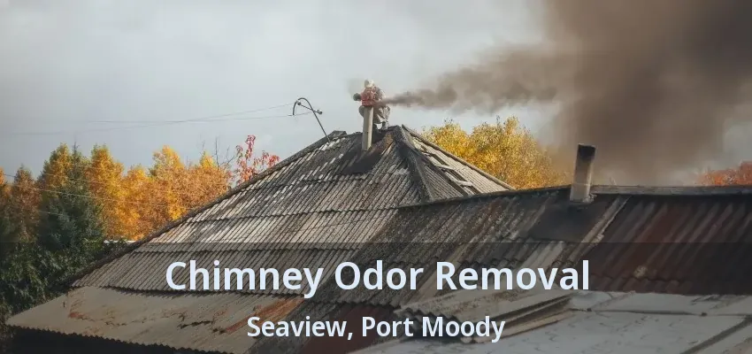 Chimney Odor Removal Seaview, Port Moody - BC