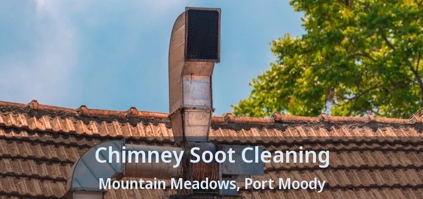 Chimney Soot Cleaning Mountain Meadows, Port Moody - BC