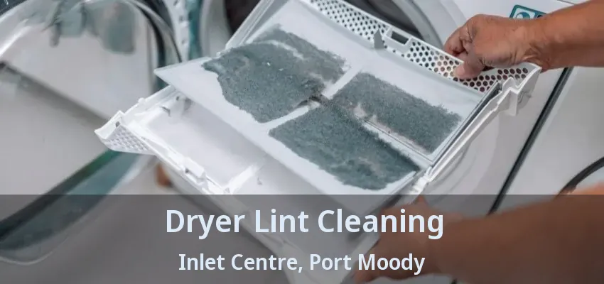 Dryer Lint Cleaning Inlet Centre, Port Moody - BC