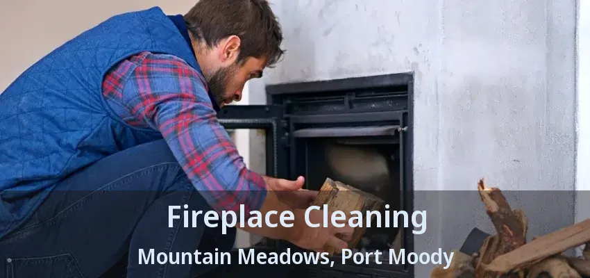 Fireplace Cleaning Mountain Meadows, Port Moody - BC