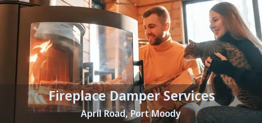 Fireplace Damper Services April Road, Port Moody - BC