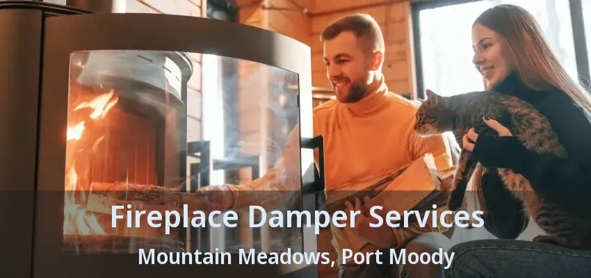 Fireplace Damper Services Mountain Meadows, Port Moody - BC