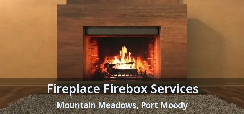 Fireplace Firebox Services Mountain Meadows, Port Moody - BC