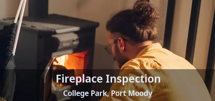 Fireplace Inspection College Park, Port Moody - BC