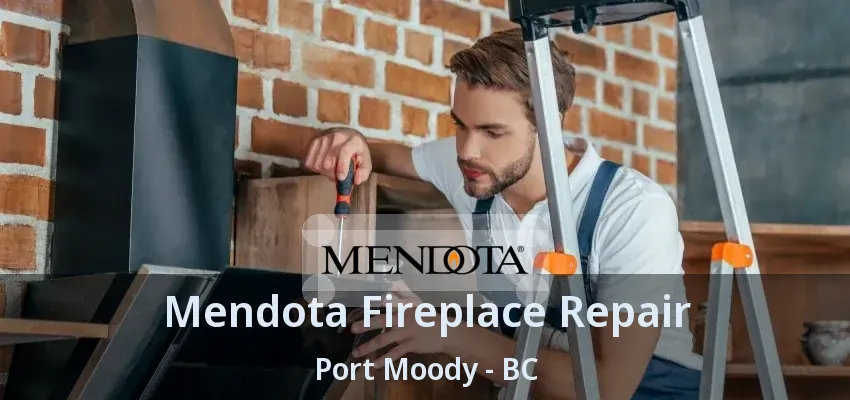 Mendota Fireplace Repair Port Moody - BC