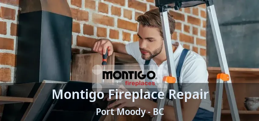 Montigo Fireplace Repair Port Moody - BC