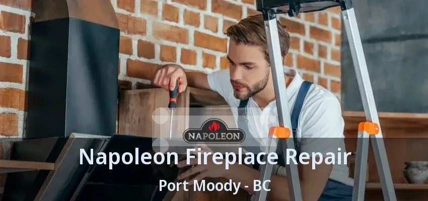 Napoleon Fireplace Repair Port Moody - BC
