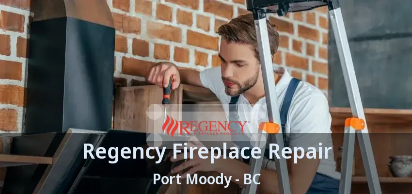 Regency Fireplace Repair Port Moody - BC