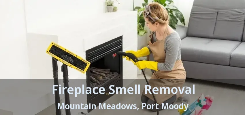 Fireplace Smell Removal Mountain Meadows, Port Moody - BC