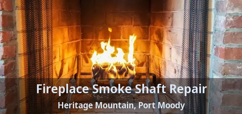 Fireplace Smoke Shaft Repair Heritage Mountain, Port Moody - BC