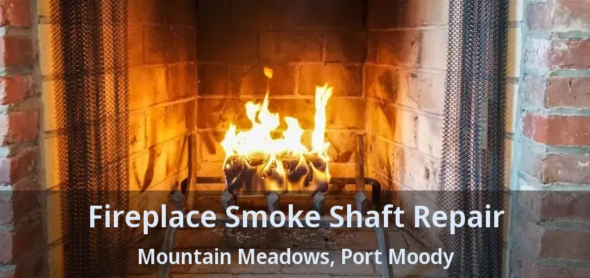 Fireplace Smoke Shaft Repair Mountain Meadows, Port Moody - BC