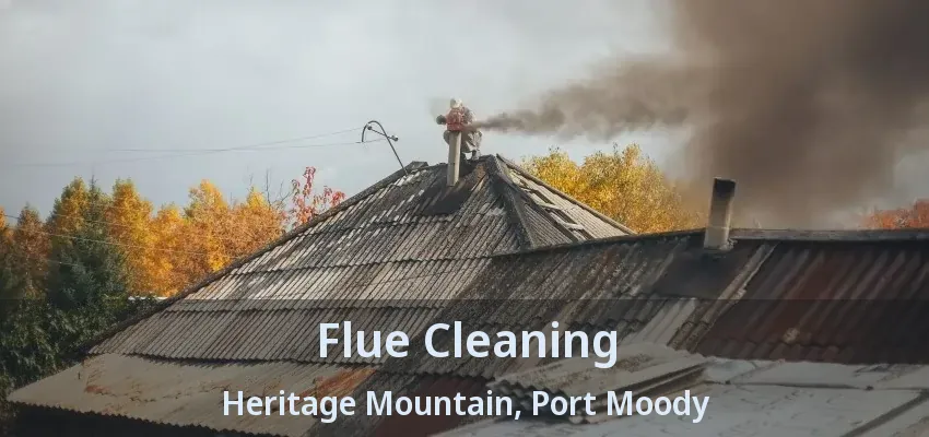 Flue Cleaning Heritage Mountain, Port Moody - BC