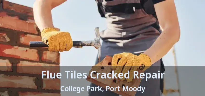 Flue Tiles Cracked Repair College Park, Port Moody - BC