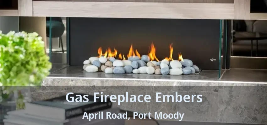 Gas Fireplace Embers April Road, Port Moody - BC