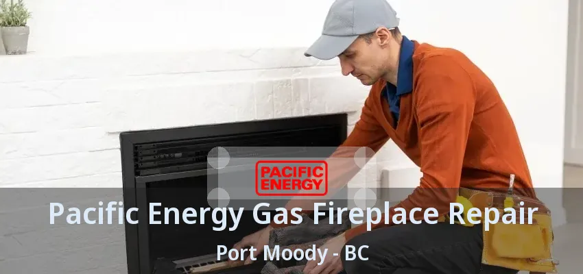 Pacific Energy Gas Fireplace Repair Port Moody - BC