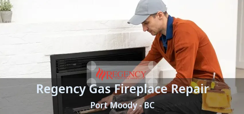Regency Gas Fireplace Repair Port Moody - BC