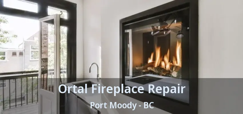 Ortal Fireplace Repair Port Moody - BC