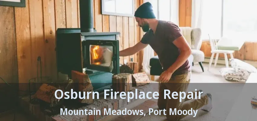 Osburn Fireplace Repair Mountain Meadows, Port Moody - BC