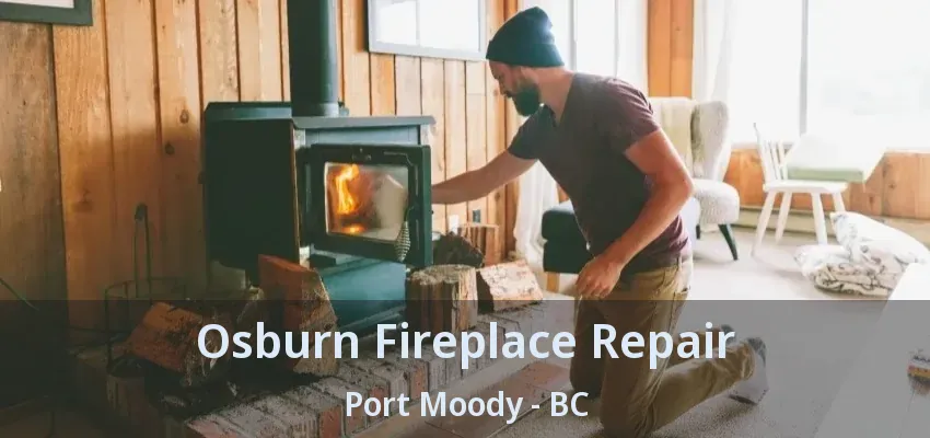 Osburn Fireplace Repair Port Moody - BC