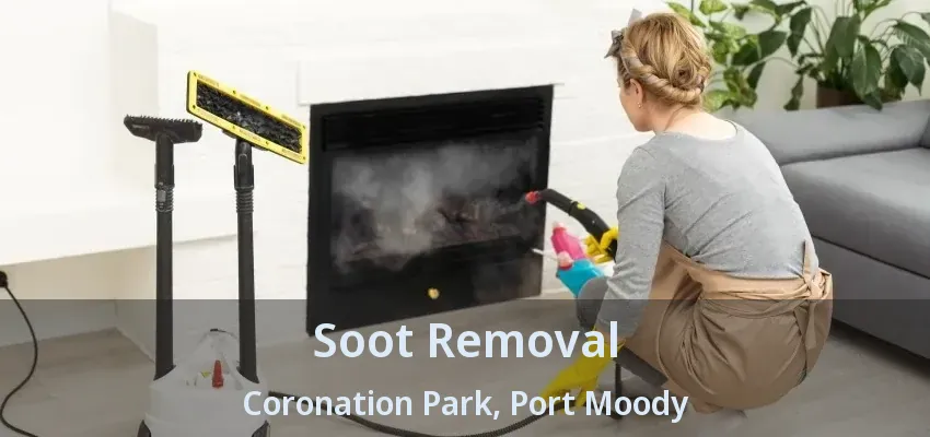 Soot Removal Coronation Park, Port Moody - BC