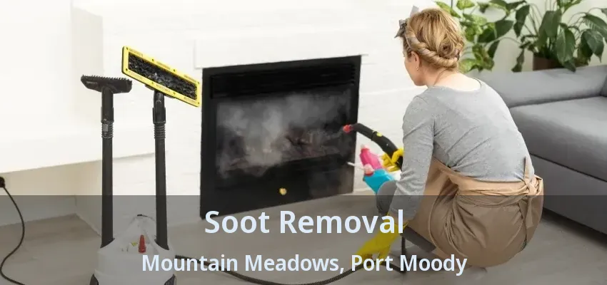 Soot Removal Mountain Meadows, Port Moody - BC