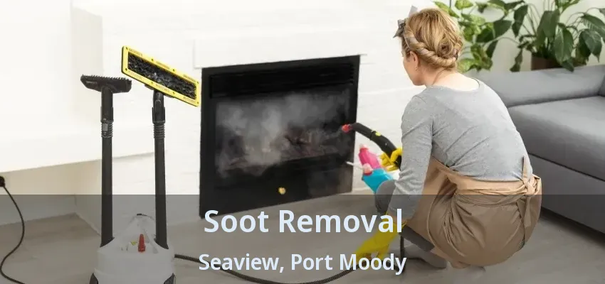Soot Removal Seaview, Port Moody - BC