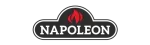 Napoleon Regency Fireplace Repair in Port Moody