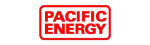 Pacific Energy Regency Fireplace Repair in Port Moody